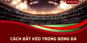 Cách bắt kèo trong bóng đá chuẩn xác tại mksport