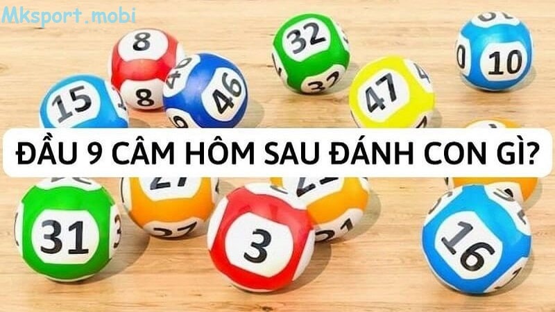 Chiến thuật chọn con số may mắn để đánh đầu 9 câm tại mk sport