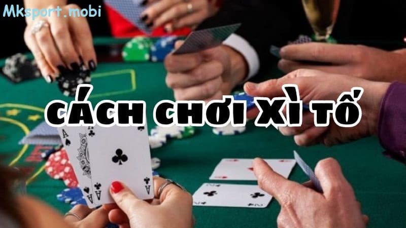 Tìm hiểu về luật chơi xì tố hay nhất tại nhà cái mksport