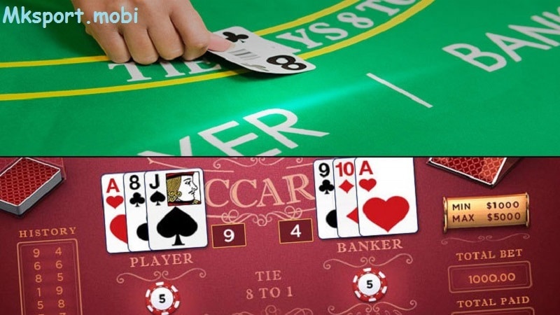 Các sảnh baccarat uy tín chất lượng đều có mặt tại mk sport đáp ứng cho cược thủ