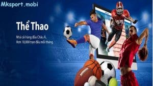 Những ưu điểm khiến người chơi luôn muốn tham gia sảnh thể thao mksport