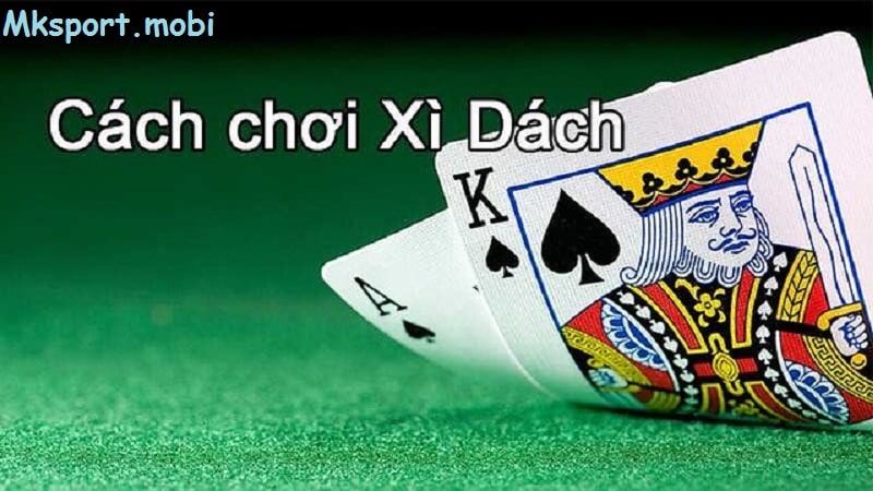 Nắm rõ chi tiết cơ bản về chơi xì dách tại mksport cho người mới