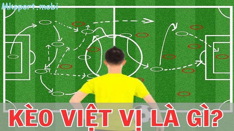 Tìm hiểu về kèo đội việt vị có tại nhà cái mk sport