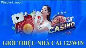 Nhà cái 123win Bảo mật nghiêm ngặt đảm bảo tuyệt đối cho người chơi cùng mksport