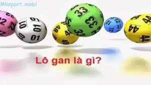 Khái niệm lô gan